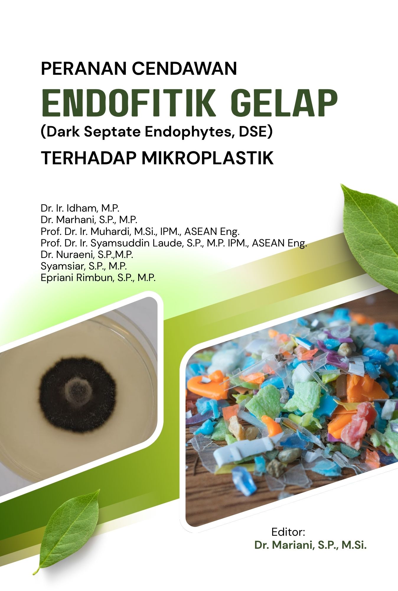 Tidak ada gambar yang tersedia